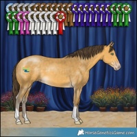 Horse Color:Sable Cream Champagne 