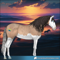Horse Color:Amber Champagne Splash