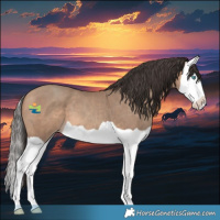Horse Color:Amber Champagne Splash 