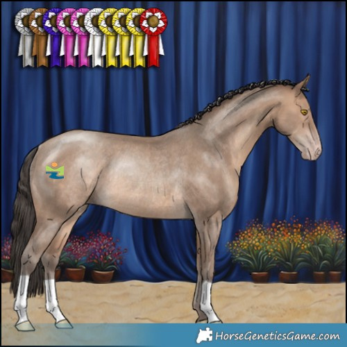 Horse Color:Sable Champagne Rabicano 