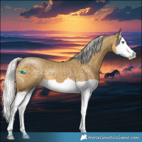 Horse Color:Silver Classic Cream Champagne Splash 