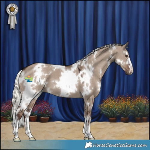 Horse Color:White Spotted Liver Red Dun Mushroom 