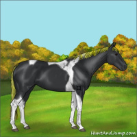 Horse Color:Painted Black Tobiano