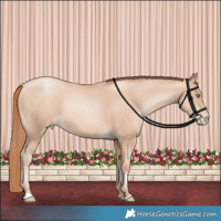 Horse Color:Classic Champagne Pearl 