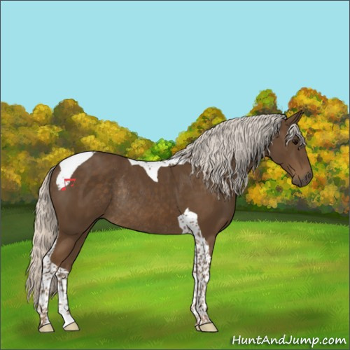 Horse Color:Silver Smoky Black Tobiano Rabicano 