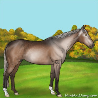 Horse Color:Gray Silver Brown 