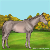 Horse Color:Platinum Chestnut 