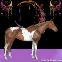 Horse Color:Chestnut Tobiano 