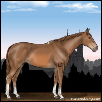Horse Color:Chestnut Tobiano 