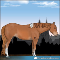 Horse Color:Chestnut Tobiano 