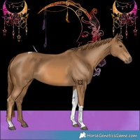 Horse Color:Chestnut Tobiano