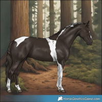Horse Color:Liver Chestnut Tobiano 