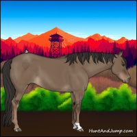 Horse Color:Liver Red Dun 