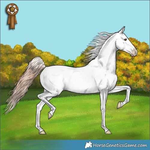 Horse Color:Classic Champagne Dun Appaloosa 