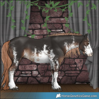 Horse Color:White Spotted Liver Chestnut Sabino Rabicano 