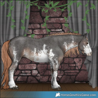 Horse Color:White Spotted Liver Chestnut Sabino Rabicano 