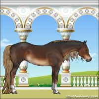 Horse Color:Gray Liver Chestnut Tobiano