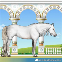 Horse Color:Gray Liver Chestnut Tobiano