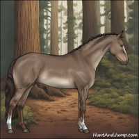 Horse Color:White Spotted Liver Red Dun Rabicano 