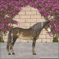 Horse Color:White Spotted Chocolate Palomino 