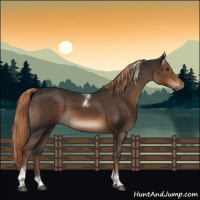 Horse Color:Liver Chestnut Tobiano 