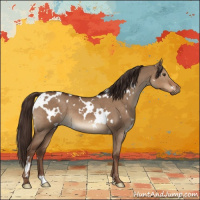 Horse Color:White Spotted Liver Red Dun
