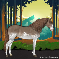 Horse Color:White Spotted Liver Red Dun Rabicano 