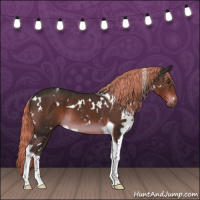 Horse Color:White Spotted Liver Chestnut Tobiano 