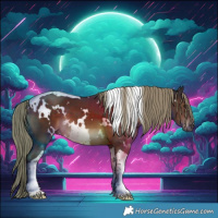 Horse Color:White Spotted Liver Chestnut Tobiano 