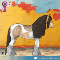 Horse Color:Buckskin Ice Tobiano Rabicano 