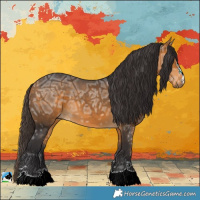 Horse Color:Buckskin Ice 