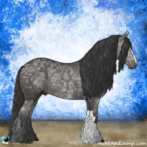 Horse Color:Black Ice Rabicano 