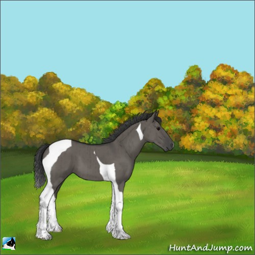 Horse Color:Grullo Tobiano Brindle 