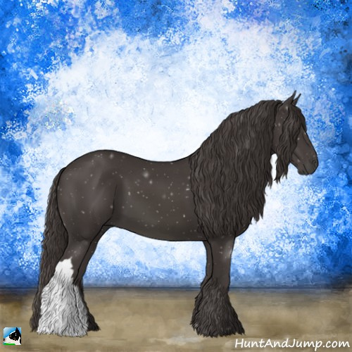 Horse Color:Smoky Black 