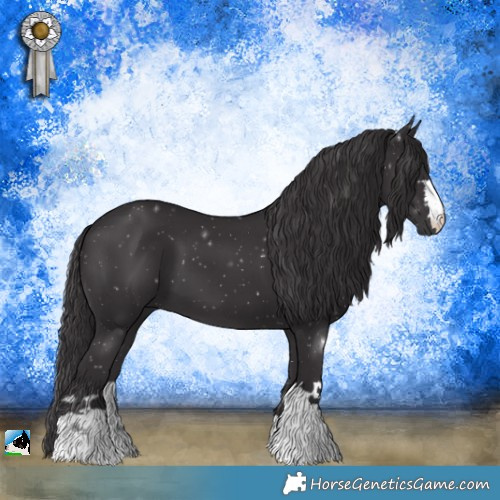 Horse Color:Smoky Black 