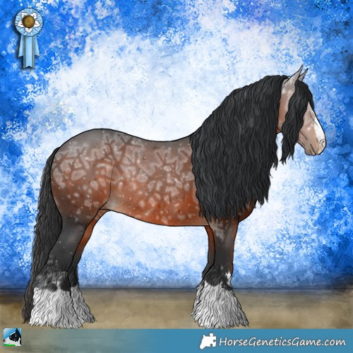 Horse Color:Brown Ice Rabicano 