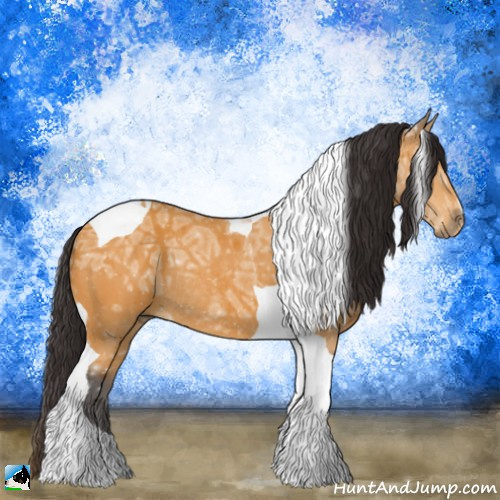 Horse Color:Buckskin Ice Tobiano Rabicano 