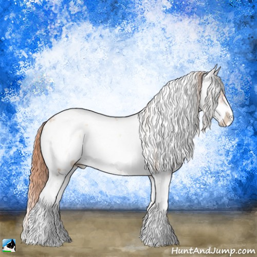 Horse Color:Buckskin Ice Pearl Onyx Sabino Rabicano 