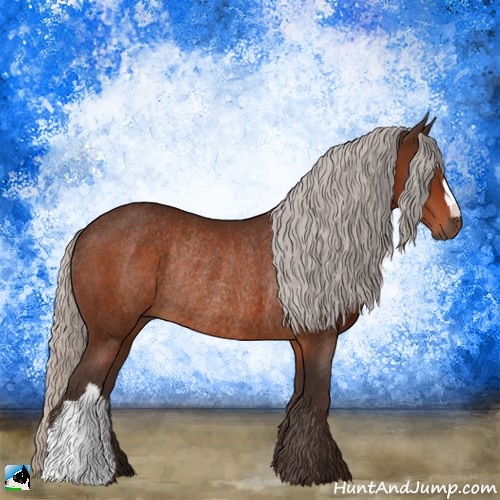 Horse Color:Silver Brown Rabicano 