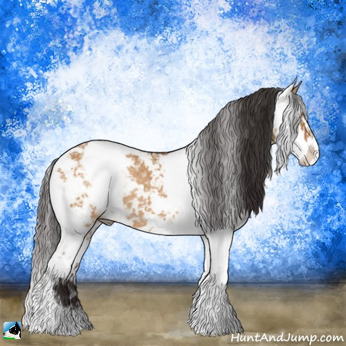 Horse Color:Buckskin Ice Dun Sabino Rabicano 
