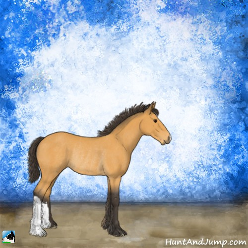 Horse Color:Buckskin Rabicano 