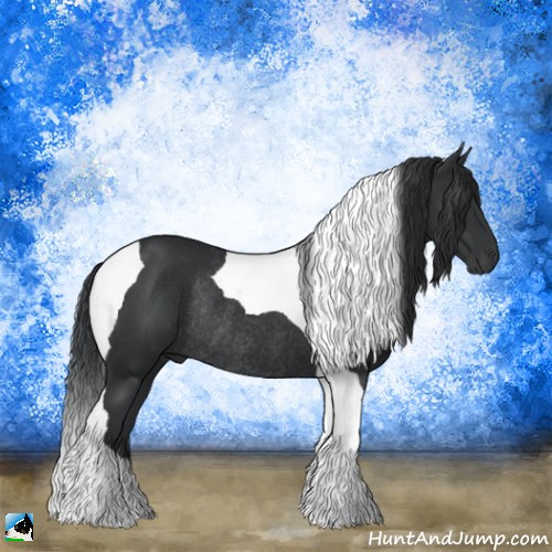 Horse Color:Black Mushroom Tobiano Rabicano 