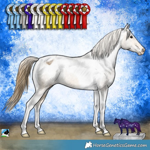 Horse Color:Buckskin Ice Tobiano Appaloosa 