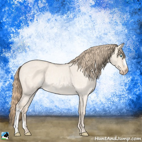 Horse Color:Perlino Roan Dun Rabicano 