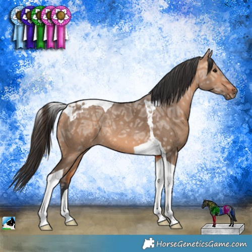 Horse Color:Bay Ice Dun Tobiano 