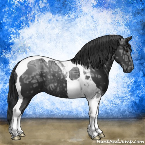 Horse Color:Black Ice Mushroom Tobiano Rabicano 
