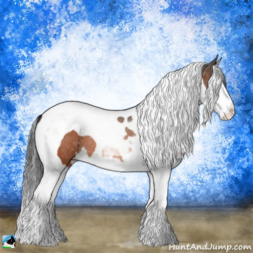 Horse Color:Bay Splash Tobiano Rabicano 