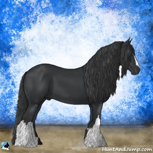 Horse Color:Black 