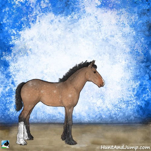 Horse Color:Brown Dun 