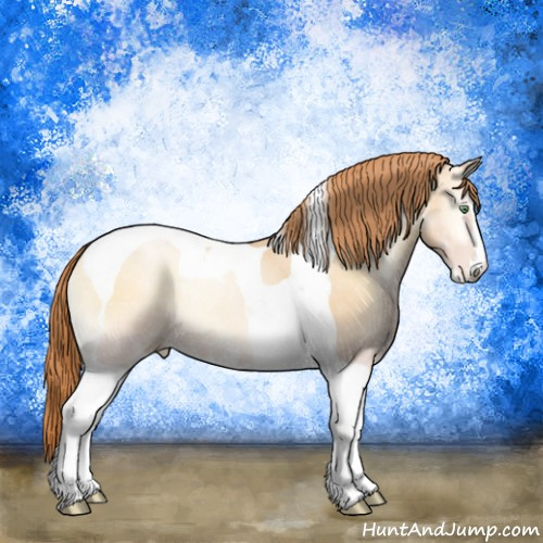 Horse Color:Buckskin Pearl Onyx Sabino Tobiano Rabicano 